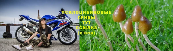 мескалин Арсеньев